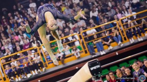 serie a1 ph simone ferraro sfa05501 copia